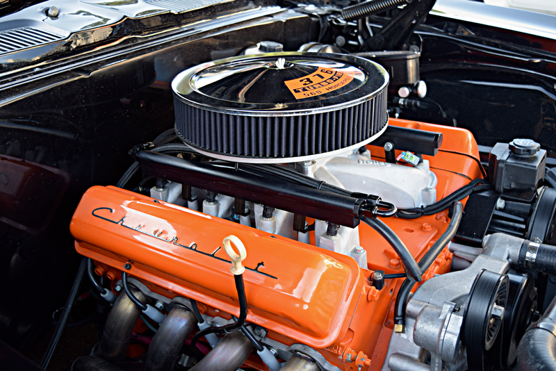 Illustration for article titled Magic City Octane Photodump from October and November